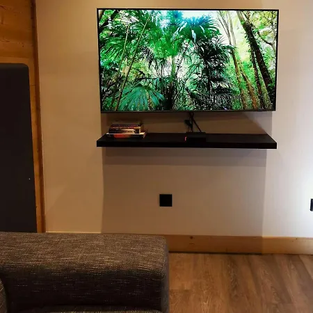 Renove, Cosy, Pour 4 Pers., Expose Sud, Skis Aux Pieds, Proche Commerces - Fr-1-545-43 Appartement *